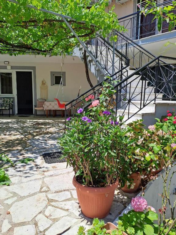 Nikiana Family Apartment Exterior photo